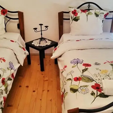 The Old House Guest And Apartman