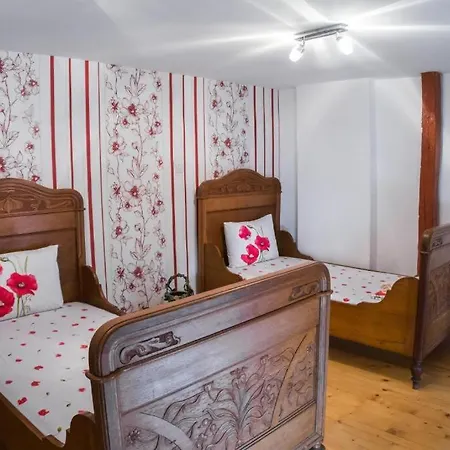 The Old House Guest And Appartement Plovdiv