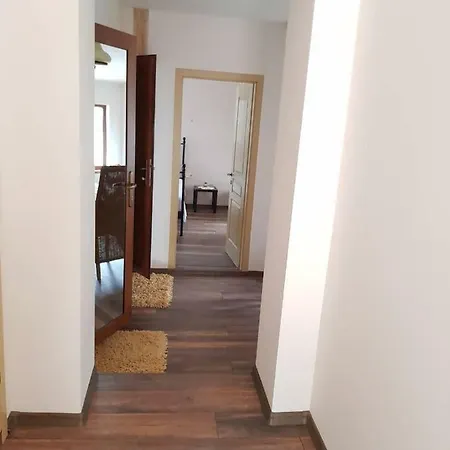 The Old House Guest And *