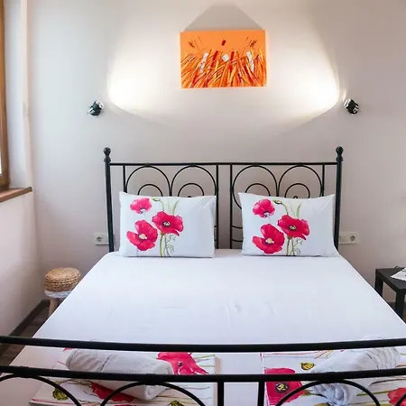 The Old House Guest And Apartman