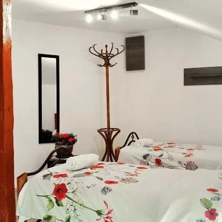 The Old House Guest And Apartment