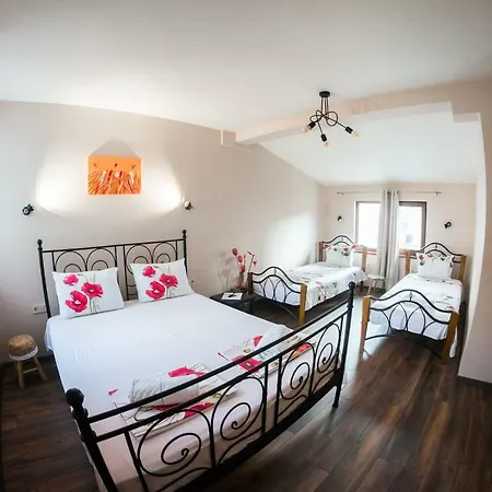 Daire The Old House Guest And Filibe