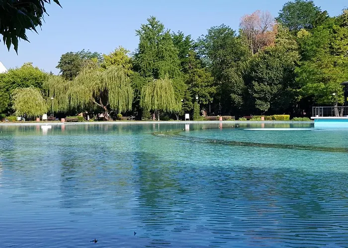 The Old House Guest And Plowdiw