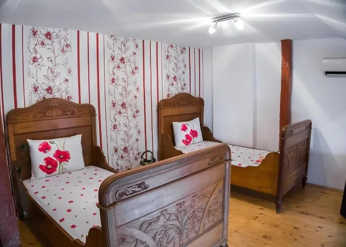 The Old House Guest And Appartement Plovdiv