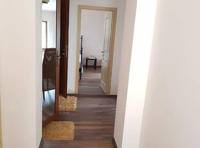 The Old House Guest And *